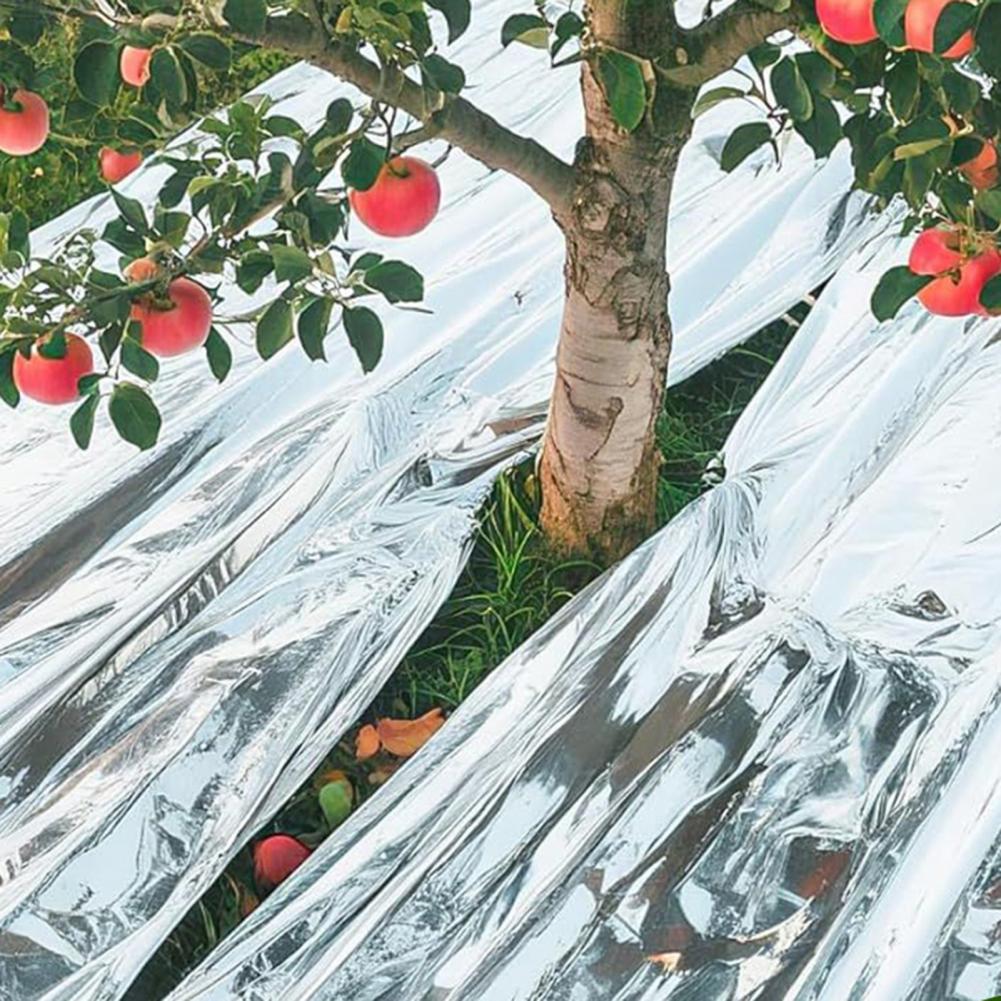 Emergency Thermal Blanket Upgr - Emergency Mylar Blanket ulasan dan harga